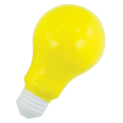 Shiny light bulb