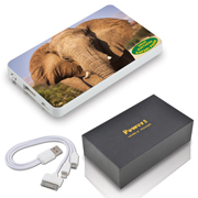 Photo Tablet Power Bank (Stock)