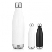 500ml Double Wall Stainless Bottle